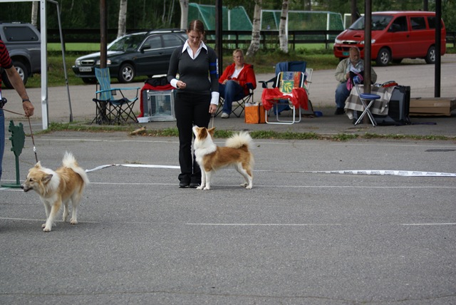 [DSC03215[2].jpg]