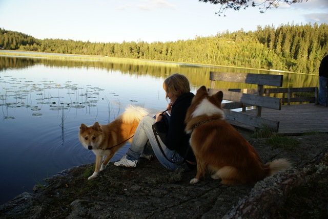 [DSC03390[2].jpg]