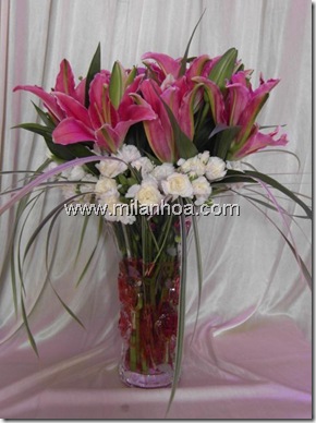 milanhoa 01050710 milanhoa 01050710