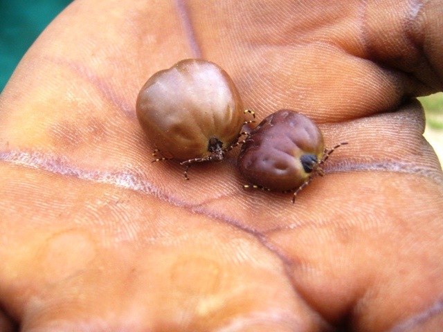[Farming042.jpg]