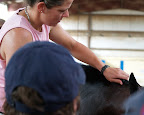  equestrian camps