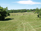  equestrian camps