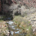 Spring Training 09 285.JPG, 09-2-21 Grand Canyon Full