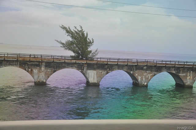 [KeyWest2010372.jpg]