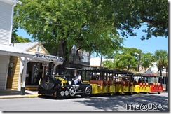 Key West 2010 (140)