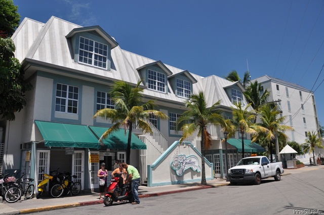 [KeyWest2010147[2].jpg]