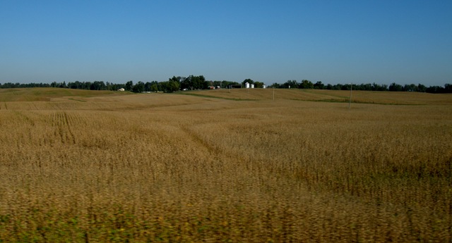 [Evansville_toBlack25.jpg]