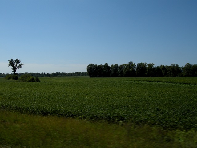 [Evansville_toBlack215.jpg]