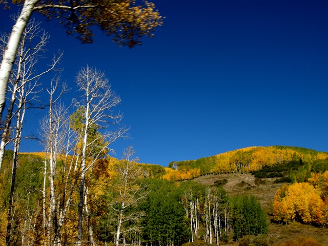 [TorreytoDuckCreek226.jpg]