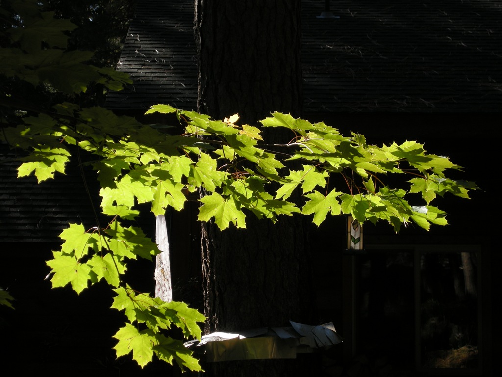 [home_1011 (4)[2].jpg]