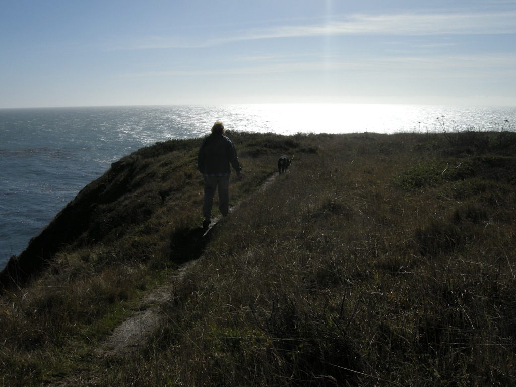 [Sonoma Coast (41)[7].jpg]