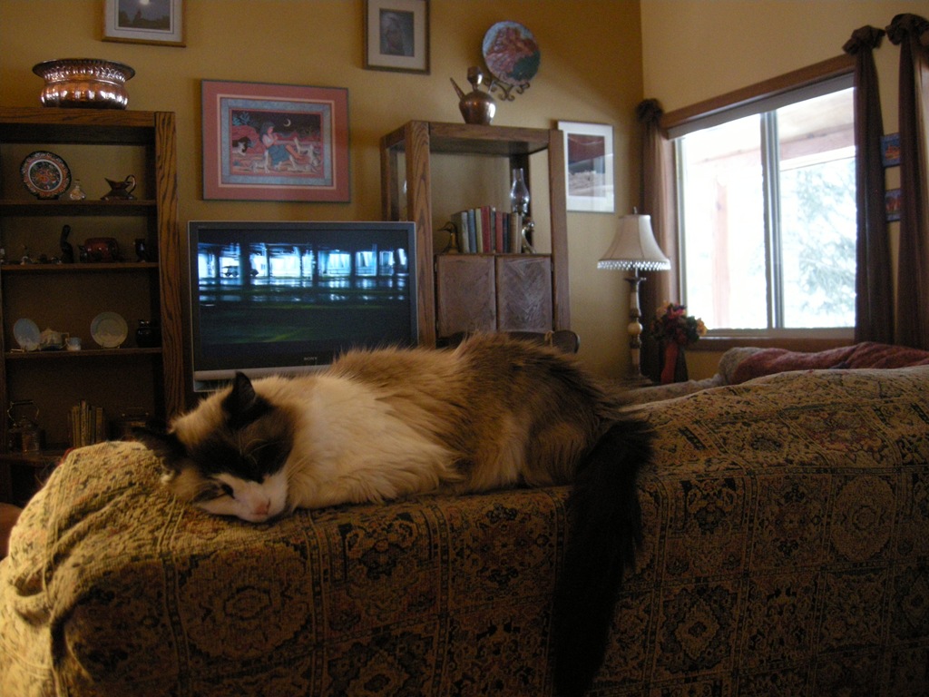 [Jeremy doesn't care[4].jpg]