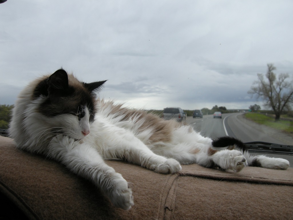 [FromHometoLodi282.jpg]