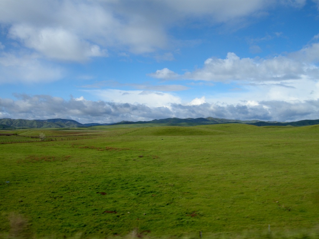 [Lodi to Bakersfield (3)[3].jpg]