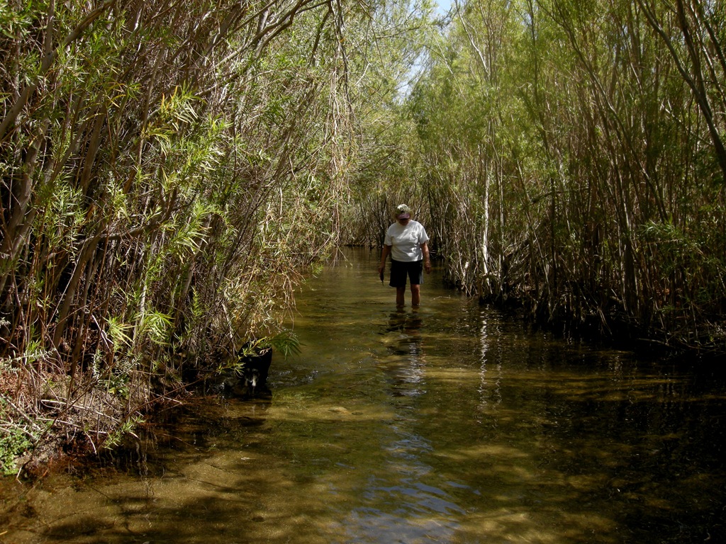 [Coyote Canyon (32)[2].jpg]