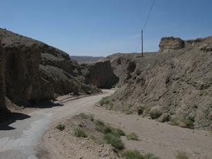 Road to China Date Farm