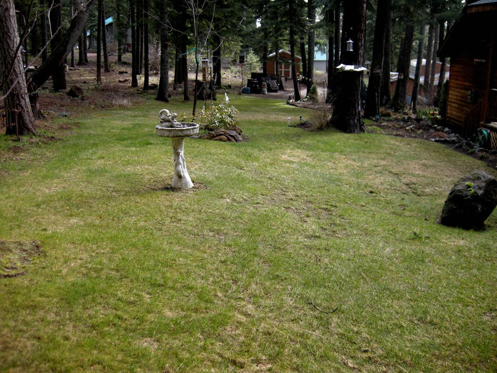 [April yard Rocky Point (11)[4].jpg]