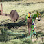 AllTrails Bike Tours Gallery Thumbnail