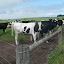 AllTrails Bike Tours Gallery Thumbnail