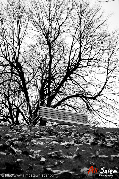 Waiting-for-Godot-13
