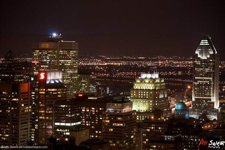 Montreal-View-Mount-Royal-8
