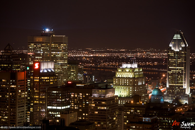 Montreal-View-Mount-Royal-8