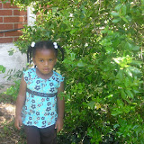 Summer 2007