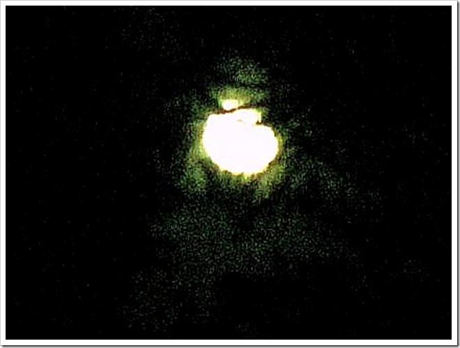 September Moonlight through trees (1) September Moonlight through trees (1)