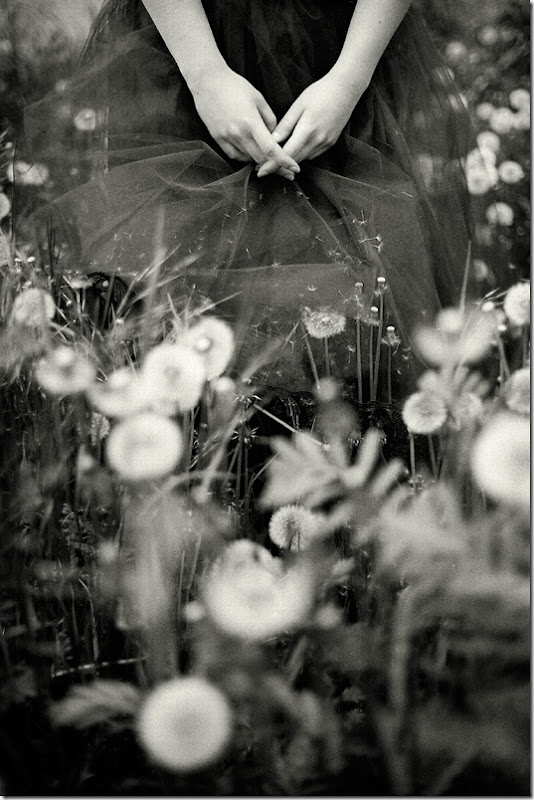 hands, flowers, (...and eyes)