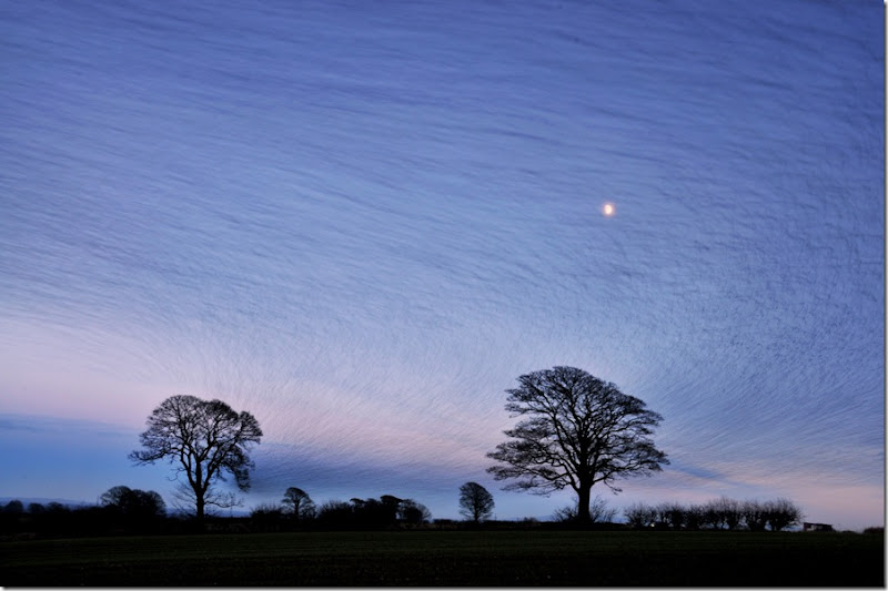 Murmuration long exposure