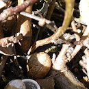 IMGP7455.JPG