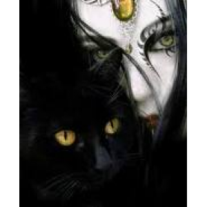 Witches And Cats Cover