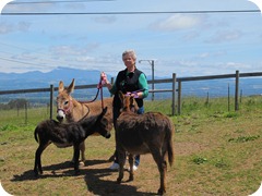 IMG_0439