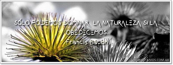 biomimesis