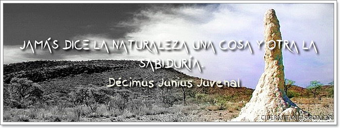 Selva