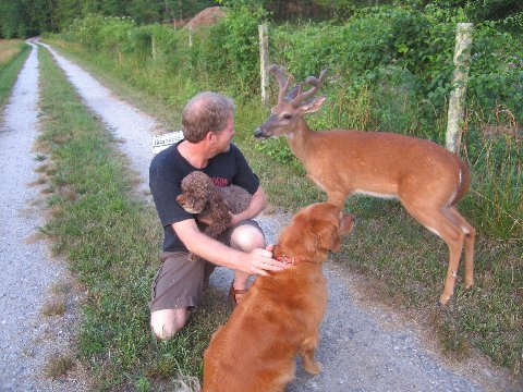image66.jpg