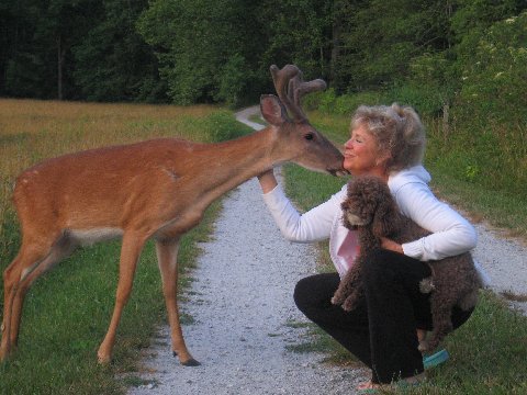 image88.jpg
