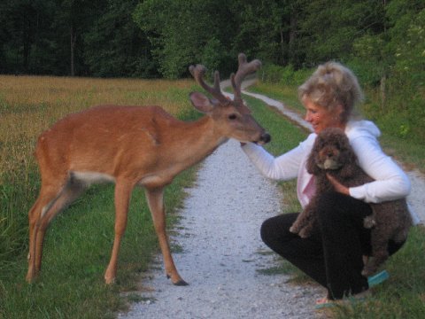 image99.jpg