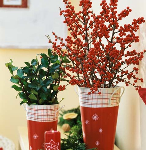 [holly-berry-branches[6].jpg]
