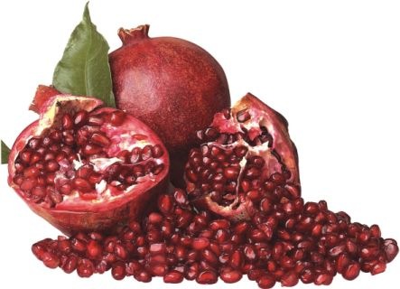 [granatapfel_1[3].jpg]