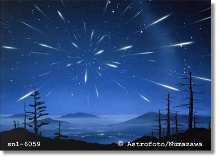 [sn1-6059[3].jpg]