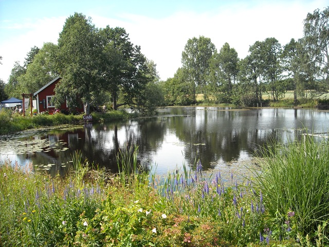 [DSCN04444.jpg]