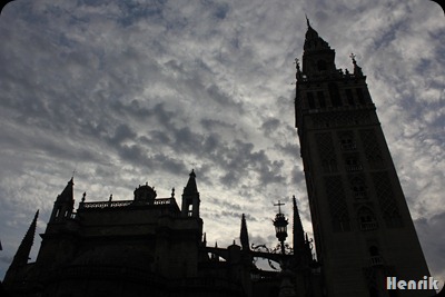 IMG_3436 IMG_3436
