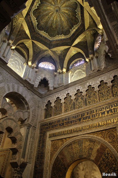 IMG_3704 IMG_3704