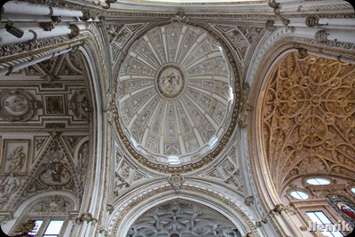 IMG_3752 IMG_3752