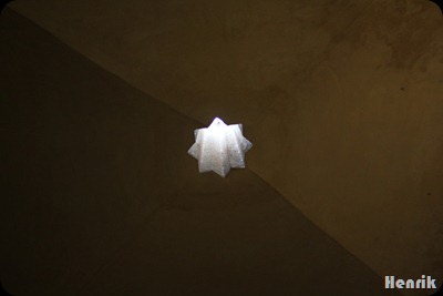 IMG_3788 IMG_3788