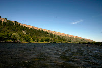 IMG_9851.JPG Photo