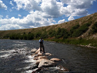 IMG_1689.JPG Photo