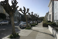 IMG_0001.JPG Photo