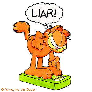 [garfield3.gif]